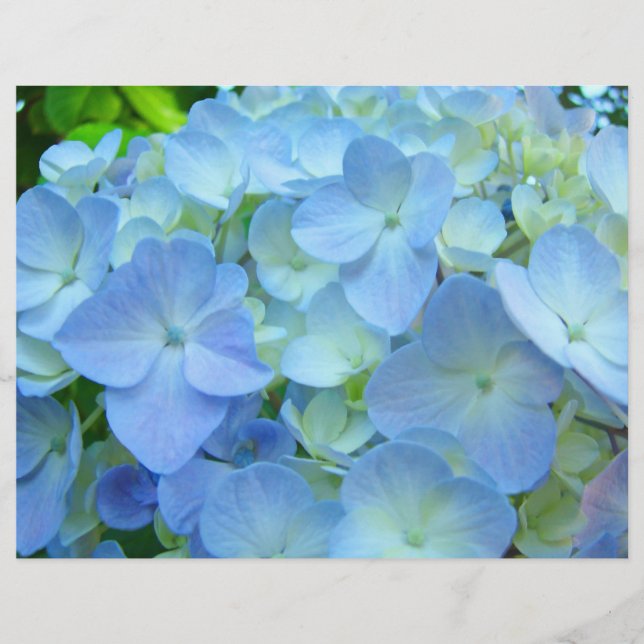 Scrapbooking Thème papier Blue Hydrangea Fleurs (Devant)