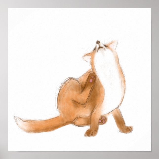 Scratching fox poster (Vorne)