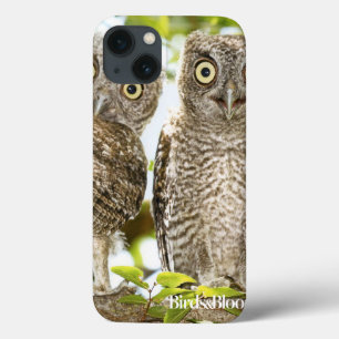 Screech Owls Chicks Case-Mate iPhone Hülle