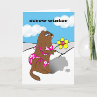 ScreWinter, sonniger Groundhog Day, Bikini Clad