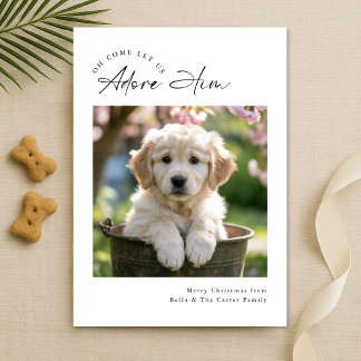 Script Modern Minimalist Ador Him Dog Family Photo Feiertagskarte