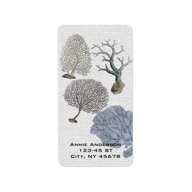 Scripts Nautical Beach Coral Reef Adressaufkleber (Vorne)