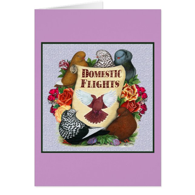 Scroll im Inlandsflug (Vorne)