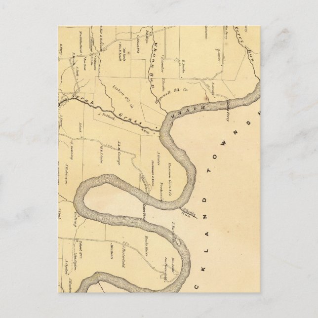 Scrub Grass Township Postkarte (Vorderseite)