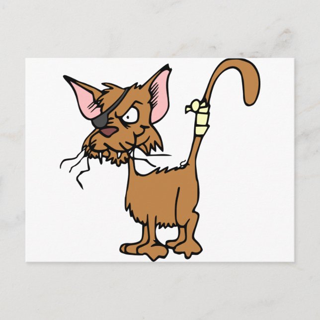 Scruffy Cat Postkarte (Vorderseite)