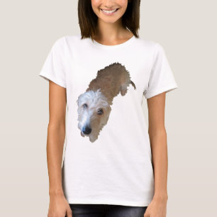 Scruffy Dog Womens Baby Doll T - Shirt