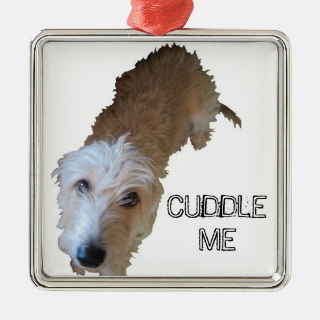 Scruffy Hund "CUDDLE ME" Ornament (Vorne)