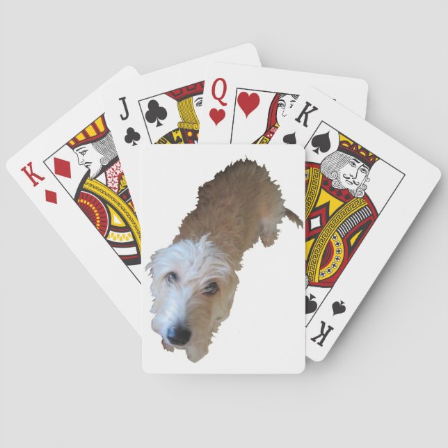 Scruffy Hund Spielkarten (Rückseite)