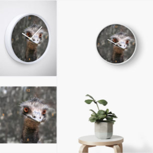 Scruffy Ole Bird, Emu. Quadratische Wanduhr