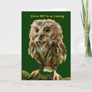 Scruffy Owl Geburtstagskarte Karte