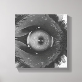 Scrunched Chicago Eye Leinwanddruck