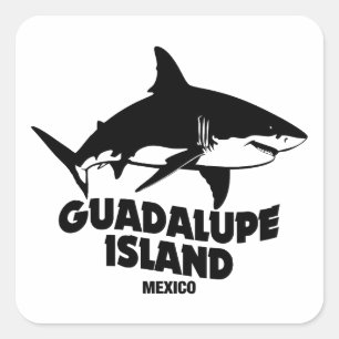 Scuba Diving with Sharks Guadalupe Island Quadratischer Aufkleber