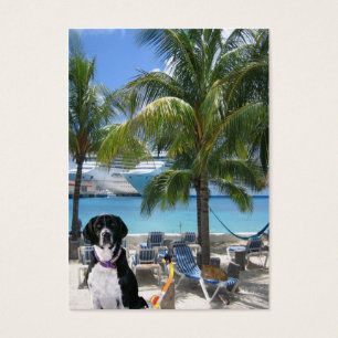 Scuba Dog "Imaginative" Handelskarte