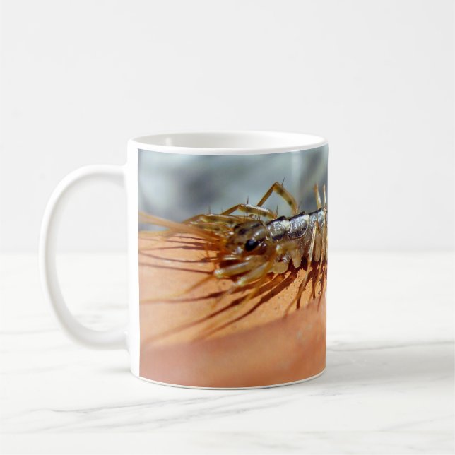 Scutigera Coleoptrata Bug Mug (Gauche)