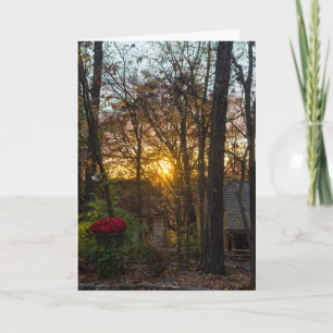 SDC Woods Sunset Karte