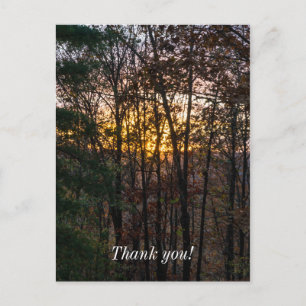 SDC Woody Sunset Postkarte