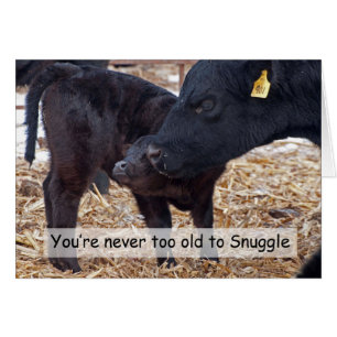 Se blottir des vaches