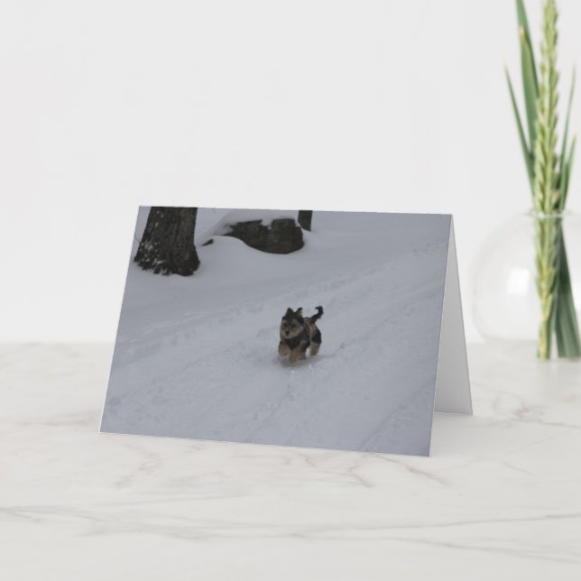 Se précipiter la carte déterminée de chiot (Devant)