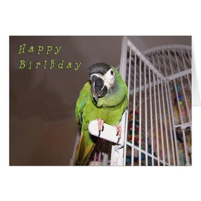 Se précipiter le diable (Devant horizontal)