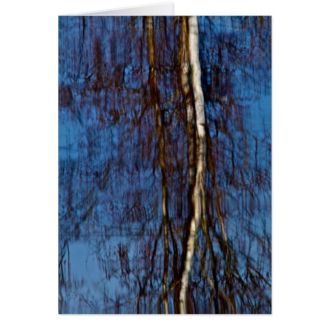 Se rappeler Monet (Devant)