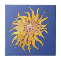 Sea Anemone Actinia Unterwasserwelt Art