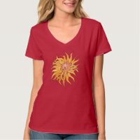 Sea Anemone Actinia Unterwasserwelt Art