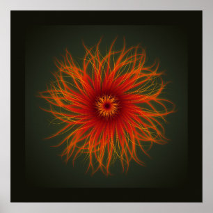 Sea Anemone - impression
