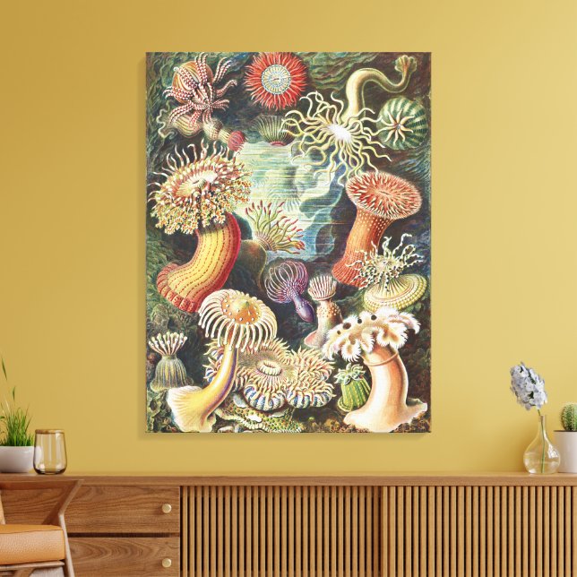 Sea Anemone Scientific Nature Ocean Leinwanddruck (Insitu (Wohnzimmer))