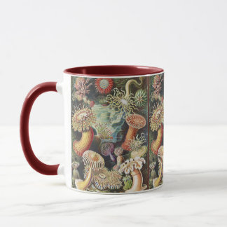 Sea Anemone Scientific Nature Ocean Tasse