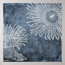 Sea Anemone Wasserfarbe Twilight Ozean Blau Weiß