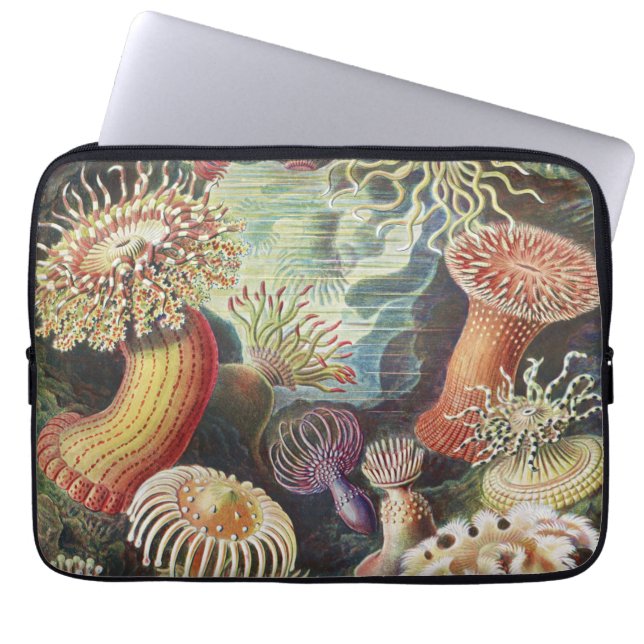 Sea Anemones, Actiniae Seeanemonen Ernst Haeckel Laptopschutzhülle (Vorderseite)