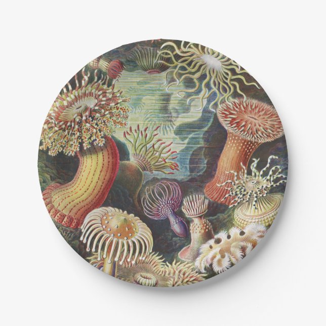 Sea Anemones, Actiniae Seeanemonen Ernst Haeckel Pappteller (Vorderseite)