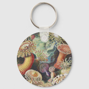 Sea Anemones, Actiniae Seeanemonen Ernst Haeckel Schlüsselanhänger
