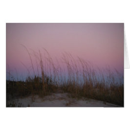 Sea Beauty auf Sullivan's Island, SC