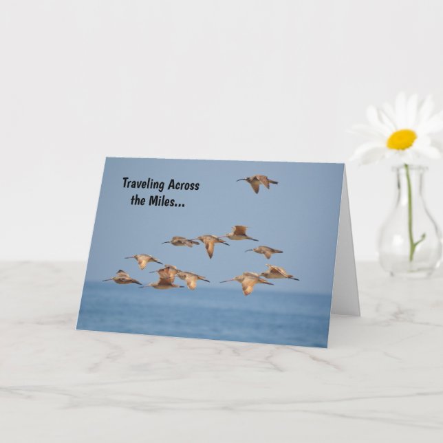 Sea Birds Flying Nice Pub Card Karte (Kleine Pflanze)