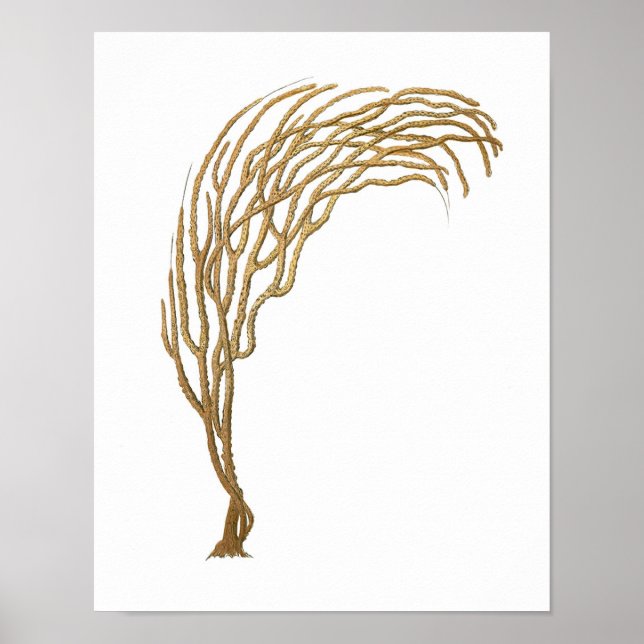 Sea Coral No.3 Antique Natural History Print Poster (Vorne)