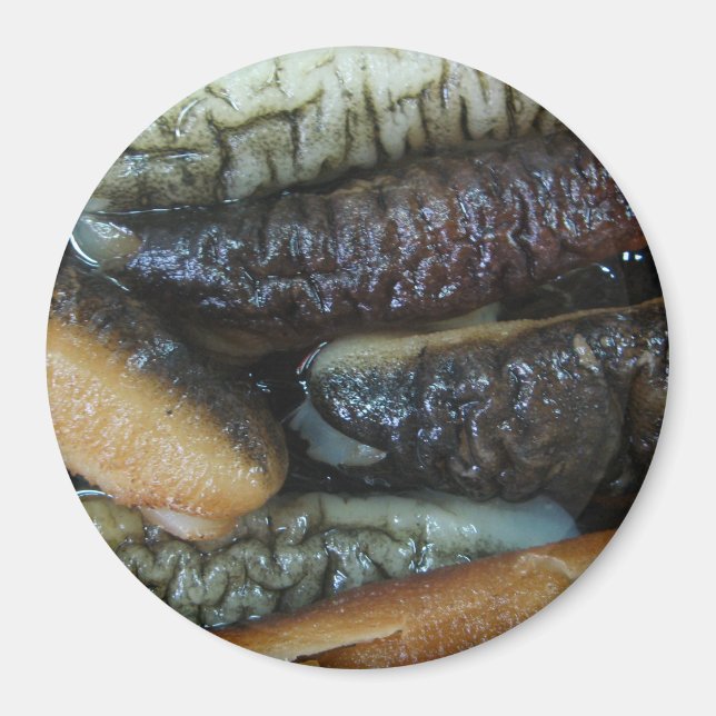 Sea Cucumber ... Yaowarat Market Food Magnet (Vorne)