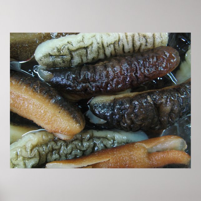 Sea Cucumber ... Yaowarat Market Food Poster (Vorne)