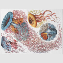 Sea Discomedusae 8 Ernst Haeckel Decoupage Seidenpapier