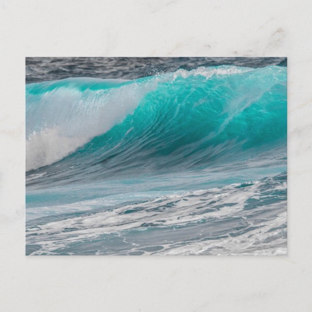 Sea Foam Beach Mist Coastal Destiny's Destiny Postkarte (Vorderseite)