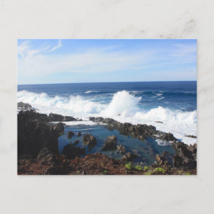 Sea Foam Beach Mist Coastal Destiny's Destiny Postkarte