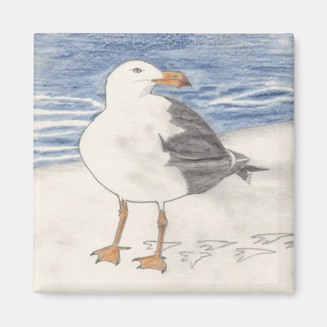 SEA GULL-Magnet (Quadrat) Magnet (Vorne)