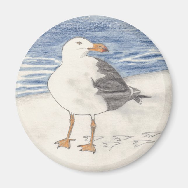 SEA GULL-Magnet (rund) Magnet (Vorne)