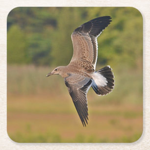 Sea Gull Party Untersetzer