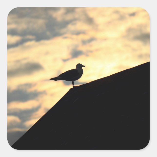Sea Gull Sunset Quadratischer Aufkleber (Vorderseite)