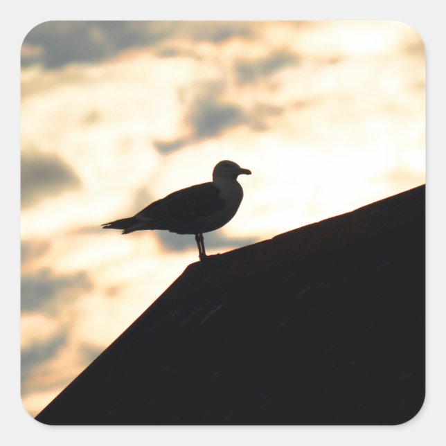 Sea Gull Sunset Quadratischer Aufkleber (Vorderseite)