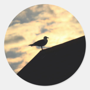 Sea Gull Sunset Runder Aufkleber