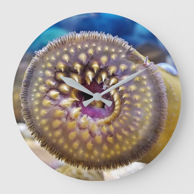 Sea Lamprey Mouth Große Wanduhr (Vorderseite)