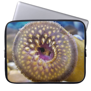 Sea Lamprey Mouth Laptopschutzhülle