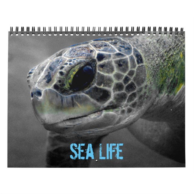 Sea Life Calendar Kalender (Titelbild)